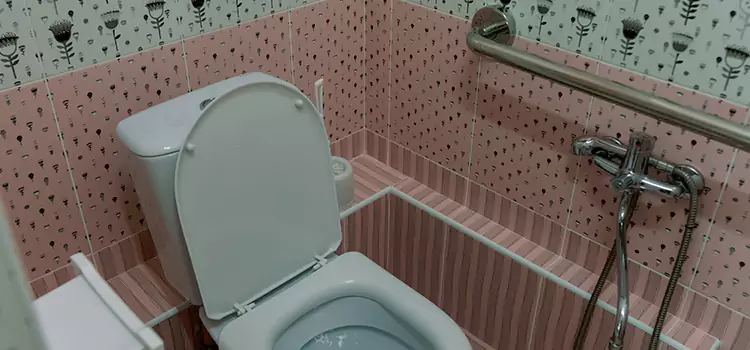 Meeting Diverse Needs With Accessible Restroom Solutions in Renton, WA